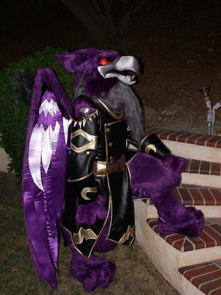Lord Kass Neopets official costume