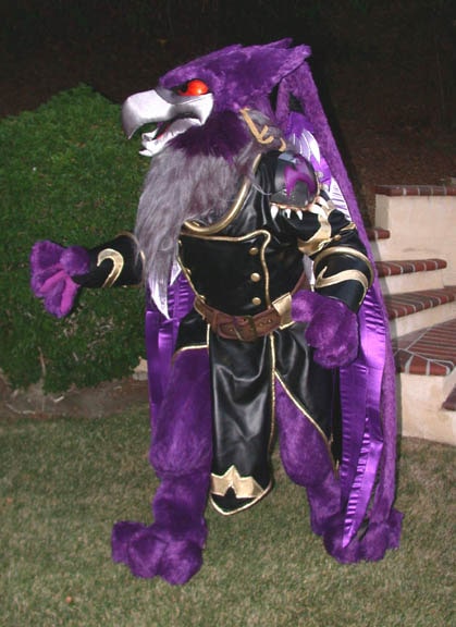 Lord Kass Neopets official costume