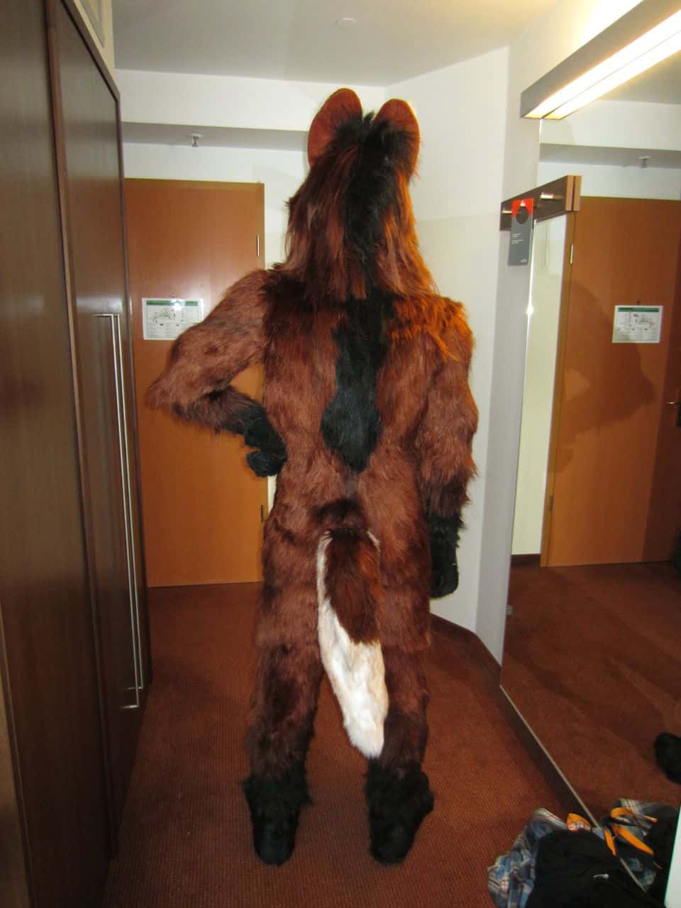 Maned Wolf Full Costume Back