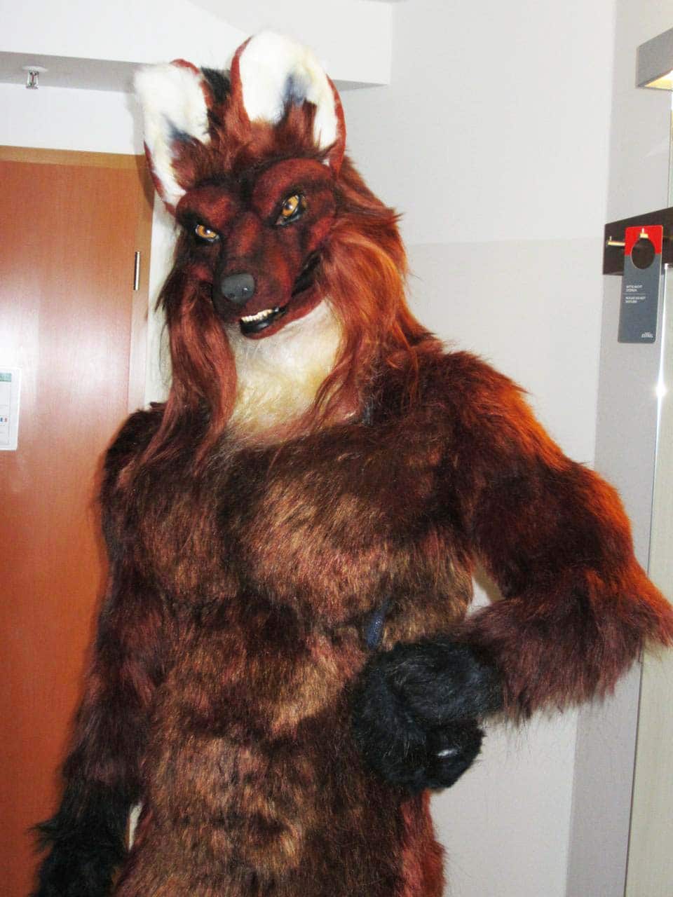 Maned Wolf Costume